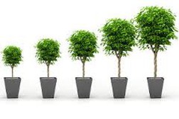 Lực bán bất ngờ tăng mạnh 10 phút cuối giờ sáng, STB thỏa thuận 47 triệu cổ phiếu