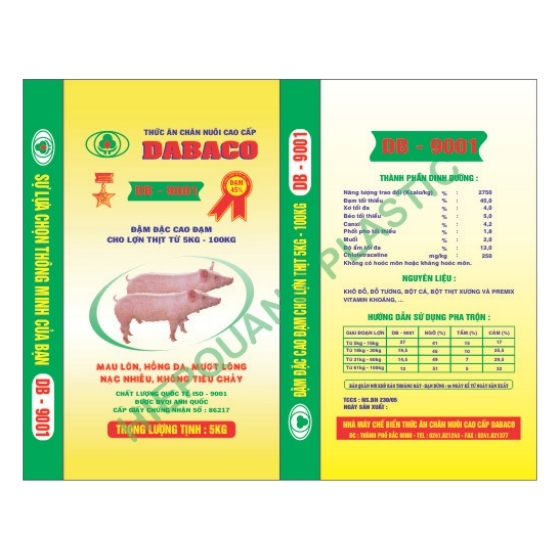 Bao-det-PP-phuc-mang