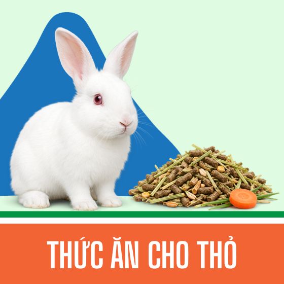 Thức ăn cho thỏ