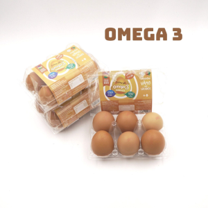 trung-ga-omega-3