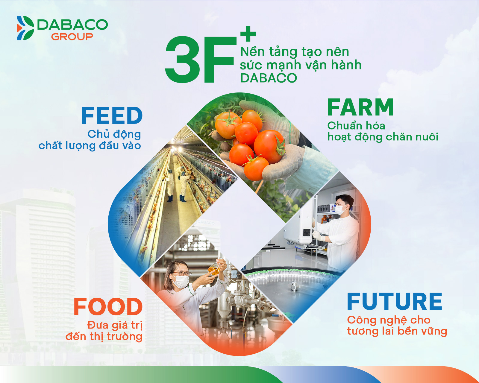 Forbes Dabaco 3F+
